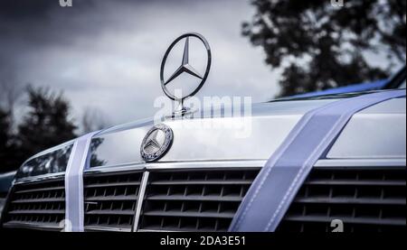 Davanti a un'auto Mercedes Benz decorata con un nastro bianco per un matrimonio. Foto Stock