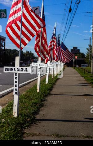 DULUTH, STATI UNITI - 07 novembre 2020: Duluth, Georgia / Stati Uniti - 6 novembre 2020: Croci bianche e bandiere americane fiancheggiano una strada cittadina in memor Foto Stock