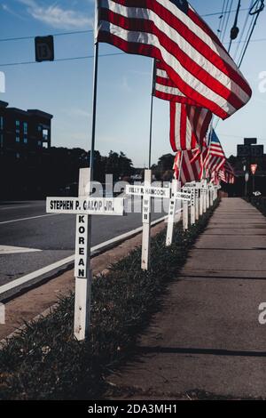 DULUTH, STATI UNITI - 07 novembre 2020: Duluth, Georgia / Stati Uniti - 6 novembre 2020: Croci bianche e bandiere americane fiancheggiano una strada cittadina in memor Foto Stock