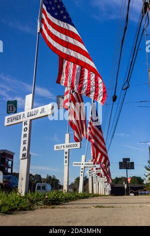 DULUTH, STATI UNITI - 07 novembre 2020: Duluth, Georgia / Stati Uniti - 6 novembre 2020: Croci bianche e bandiere americane fiancheggiano una strada cittadina in memor Foto Stock