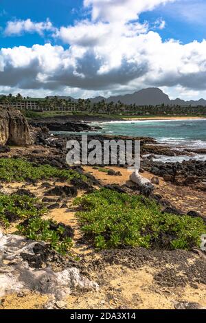 Vista della costa lavica lungo la baia di Keoniloa, Kauai, Hawaii Foto Stock