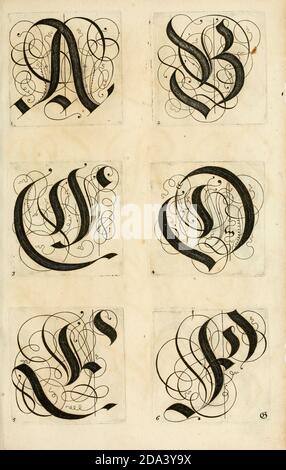 Lettera e ornamenti da 1655, Calligraphy, disegno, inchiostro, pennello, scrittura Foto Stock