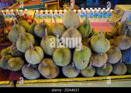 Colpo chiuso del re di Musang durian, conosciuto anche con il suo nome originale Raja Kunyit, ha una carne gialla profonda, punte larghe e smussate, un divario tra Th Foto Stock