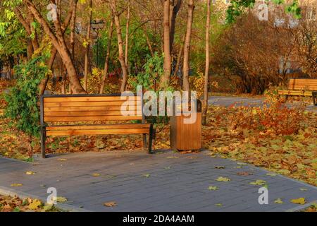 Mobili urbani moderni e robusti di legno duro. Panca vuota di legno e urna su sfondo luminoso autunno fogliame nel parco pubblico. Caduta delle foglie in città. Foto Stock