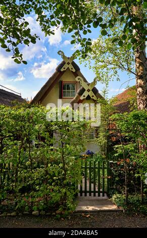 Vecchia casa con tetto di paglia e cortile anteriore dietro una siepe verde. Foto Stock