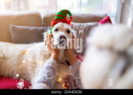 Donna e il suo cane che si godono il Natale insieme a casa Foto Stock