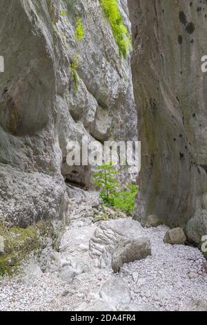 Gole di Celano (Italia) - un'attrazione naturalistica selvaggia per gli escursionisti del Parco Naturale Sirente-Velino, regione Abruzzo, comuni di Aielli e Celano Foto Stock