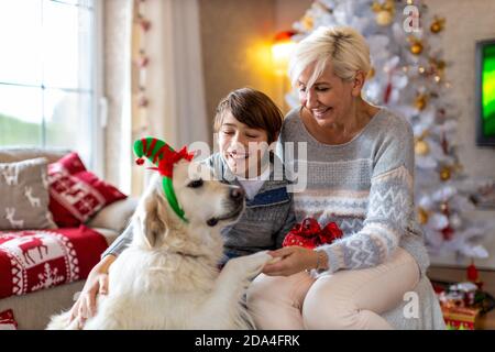 Madre e figlio giocano con Golden Retriever dall'albero di Natale Foto Stock