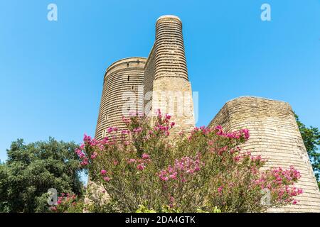 Torre delle Maiden a Baku, Azerbaigian. Vista con fiori in primo piano. Foto Stock