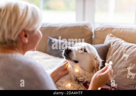 Donna e il suo cane che si godono il Natale insieme a casa Foto Stock
