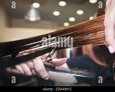 Professionale parrucchiere taglio capelli. Primo piano. Taglio a forbice. Tagliare i capelli dal parrucchiere Foto Stock