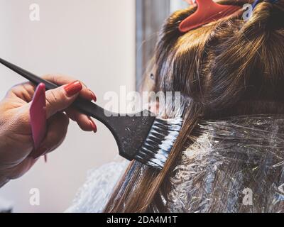 professionale parrucchiere tinge i capelli al cliente. Il parrucchiere usa la spazzola sui capelli. Trattamento parrucchiere Foto Stock