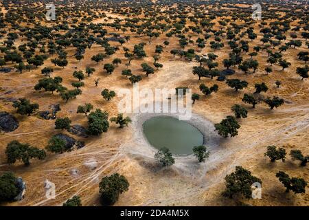 Paesaggio con la laguna a Dehesa de la Luz. Estremadura. Spagna. Foto Stock