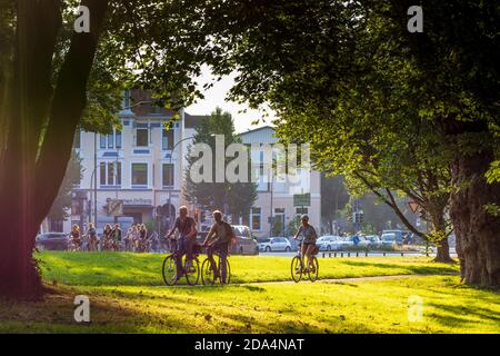 Lübeck: Ciclisti, alberi, prati, Ostsee (Mar Baltico), Schleswig-Holstein, Germania Foto Stock