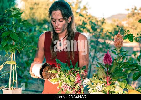 Belle piante in vaso su tavolo di legno a casa. Hobby coinvolgente Foto  stock - Alamy