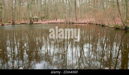 Cabina in una foresta invernale Foto Stock