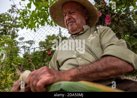 Ritratto dell'uomo anziano con cappello di paglia seduto che taglia i porri con piante e fiori di fondo Foto Stock