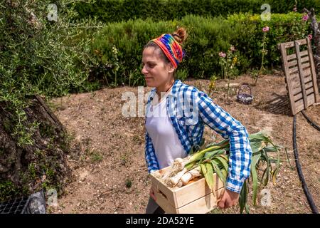 Giovane donna ispanica in camicia blu plaid da cui si raccolgono le verdure il giardino è dotato di una cassetta di legno Foto Stock