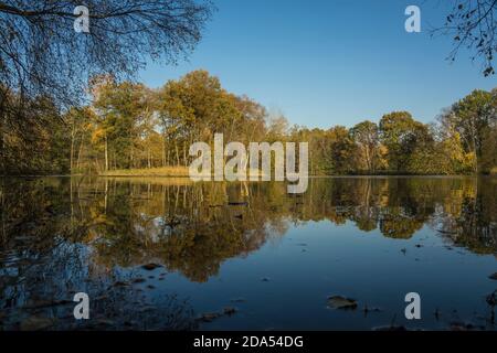 Autunno alberi riflessa nell'acqua Foto Stock