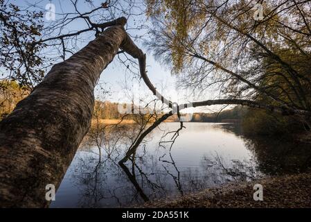 Autunno alberi riflessa nell'acqua Foto Stock