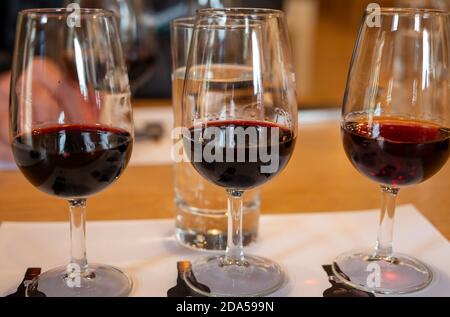 Degustazione professionale di diversi dolci fortificati rubino, boccanti vini portuali in calici in cantine a Porto, Portogallo, primo piano Foto Stock