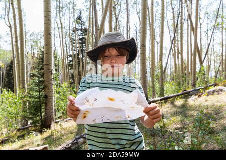 7 year old boy holding treasure map in forest of Aspen trees Foto Stock