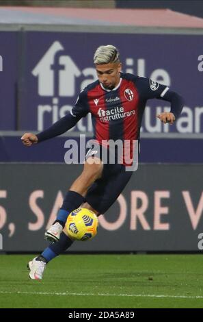 Bologna, Italia. 8 Nov 2020. 09/11/2020 - Bologna-Napoli - Nicolas Dominguez - foto Michele Nucci/LM Credit: Michele Nucci/LPS/ZUMA Wire/Alamy Live News Foto Stock