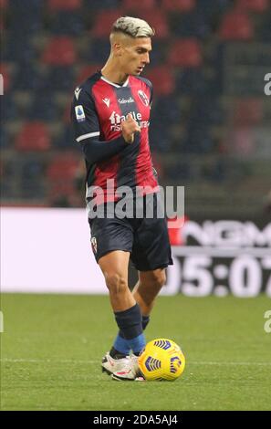 Bologna, Italia. 8 Nov 2020. 09/11/2020 - Bologna-Napoli - Nicolas Dominguez - foto Michele Nucci/LM Credit: Michele Nucci/LPS/ZUMA Wire/Alamy Live News Foto Stock