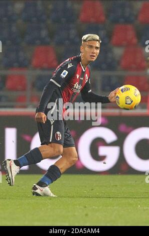 Bologna, Italia. 8 Nov 2020. 09/11/2020 - Bologna-Napoli - Nicolas Dominguez - foto Michele Nucci/LM Credit: Michele Nucci/LPS/ZUMA Wire/Alamy Live News Foto Stock