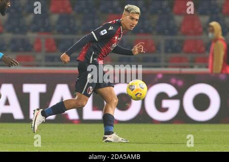 Bologna, Italia. 8 Nov 2020. 09/11/2020 - Bologna-Napoli - Nicolas Dominguez - foto Michele Nucci/LM Credit: Michele Nucci/LPS/ZUMA Wire/Alamy Live News Foto Stock