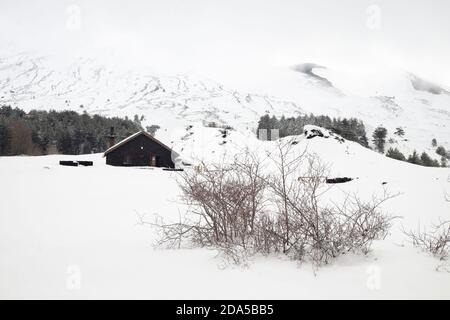 Cespugli di thorn nell'altopiano innevato di Galvarina, sul backgrounf offuscato rifugio del Parco dell'Etna, Sicilia Foto Stock