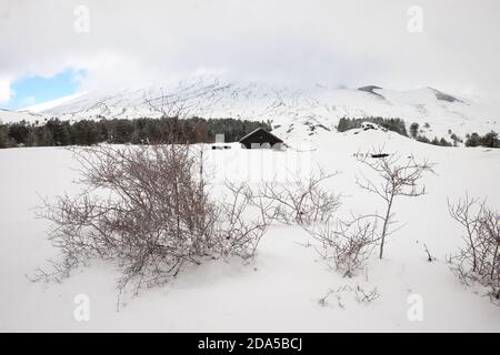 Cespugli di thorn nell'altopiano innevato di Galvarina, sul backgrounf offuscato rifugio del Parco dell'Etna, Sicilia Foto Stock