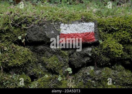 Strisce orizzontali rosse e bianche segnano il percorso sulla roccia vulcanica mussosa del Parco dell'Etna, in Sicilia Foto Stock