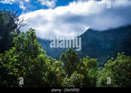 La luce del sole filtra attraverso le nuvole basse e il cielo blu sulle fitte foreste blu-verdi delle Smoky Mountains nel Tennessee orientale, un subrange del Blue Ri Foto Stock