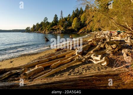 Donna con cane sulla spiaggia, Bowen Bay, Bowen Island, British Columbia, Canada Foto Stock