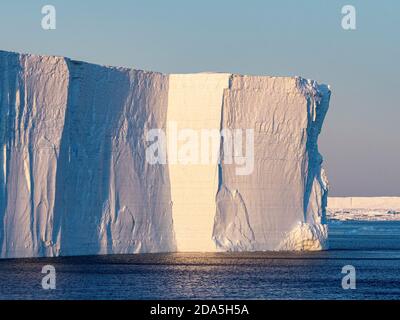 Ghiaccio di mare, iceberg tabulari e ghiaccio di brash nel Golfo di Erebus e Terrore, Weddell Sea, Antartide. Foto Stock