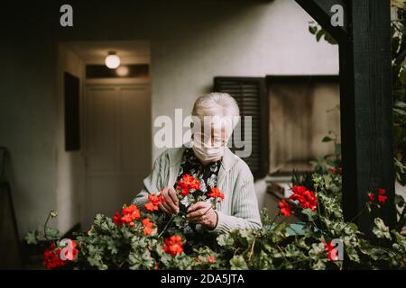 Bella nonna caucasica con occhiali e una maschera viso dispone fiori nel suo giardino durante la quarantena dell'epidemia COVID - 19. Protezione Foto Stock