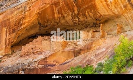 Ben conservato Monarch Cave Cliff Dwelling on Comb Ridge Off Butler Wash in Bears Ears National Monument is Southeast Utah. Foto Stock