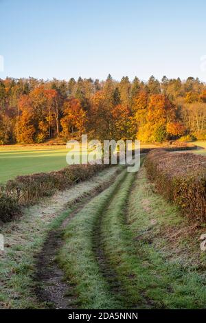 Paese corsia nella campagna del buckinghamshire vicino hambleden in autunno. Hambleden, Buckinghamshire, Inghilterra Foto Stock