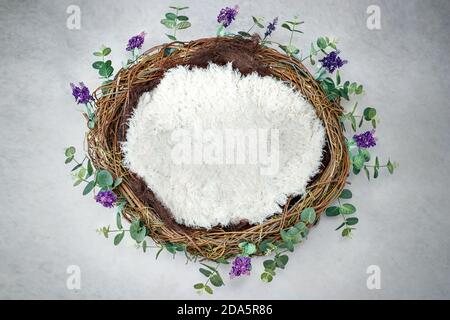 Fotografia del neonato sfondo digitale di un nido, riempitivo soffice, foglie verdi e lavanda viola Foto Stock