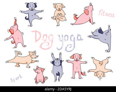 Yoga animali domestici. Set di grandi colori di yoga cane. Cute Puppies atleti ottenere in su in un'asana e meditare, fare esercizi sportivi e fare esercizi. Vettore. Isolato Illustrazione Vettoriale