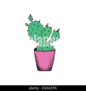Linea di disegno continua. Cactus fatto in casa in una pentola. Illustrazione isolata su uno sfondo bianco Illustrazione Vettoriale