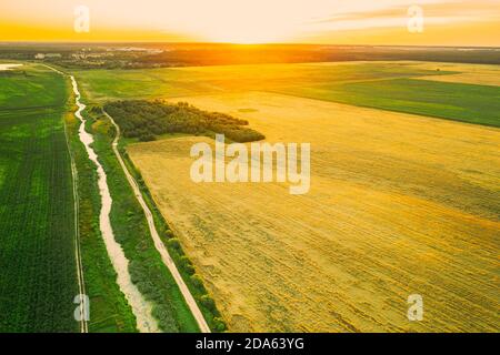 Aerial View Of Countryside Road Through Summer Rural Field. Road Between Corn Maize Plantation And Wheat. Landscape During Sunset Foto Stock