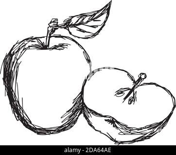 illustrazione vettore doodle mano disegnata di schizzo mela isolato. Illustrazione Vettoriale