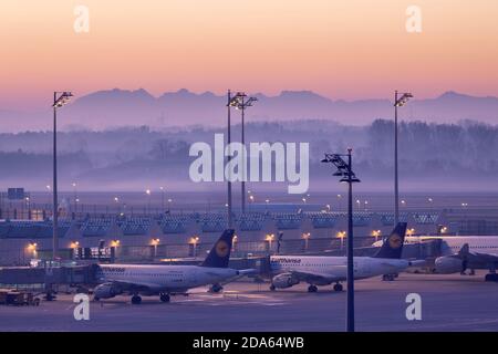 Geografia / viaggio, Germania, Baviera, Monaco di Baviera, aeroporto Francis Joseph ostrich alla luce del mattino, Mun, Additional-Rights-Clearance-Info-Not-Available Foto Stock