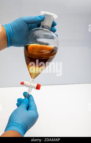 Lo studio che separa per filtrazione le sostanze componenti dalla miscela liquida in laboratorio. Separare il prodotto naturale usare diclorometano con acqua hanno Foto Stock