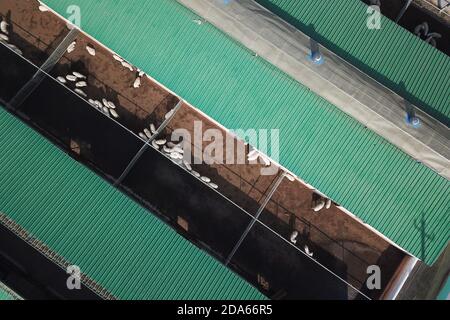 (201110) -- DONGXIANG, 10 novembre 2020 (Xinhua) -- Foto aerea scattata il 9 novembre 2020 mostra la vista di penne di pecora in una cooperativa del Villaggio di Bulenggou nella Contea Autonoma di Dongxiang della Prefettura Autonoma di Linxia Hui, nella provincia di Gansu della Cina nord-occidentale. Bulenggou Village era un'area gravemente impoverita. Fin dall'inizio del lavoro di alleviamento della povertà, il villaggio è cambiato insieme a migliori infrastrutture, che consentono agli abitanti del villaggio di accedere all'acqua potabile, alle strade, al centro sanitario e alla scuola primaria ben attrezzata. L'allevamento è diventato l'industria leader del Bulenggou Village, wher Foto Stock