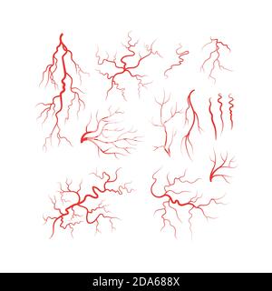 Vettore del set di vasi sanguigni rossi delle vene umane Illustrazione Vettoriale