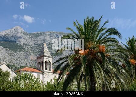 Vista sulle montagne, le palme e la vecchia casa di Trogir Foto Stock