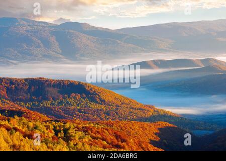 Una fitta nebbia sopra le colline rurale nella luce del mattino. drammatica campagna dei Carpazi scenario autunnale Foto Stock